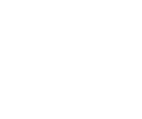 st george logo white